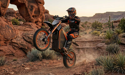 adult e-dirt bikes